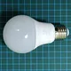 Lampu